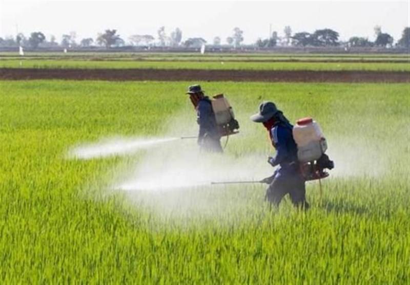 بررسی ابعاد مختلف آسیب پذیری کشاورزان در اثر شیوع ویروس کرونا